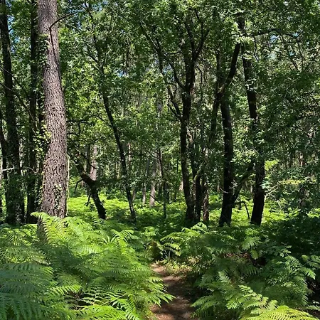 公寓 Pauill'art 波亚克